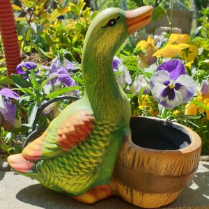 Пате саксия