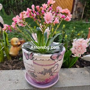 Keramika troqn troqnska tava giuvech guvech guve4 giuve4 gotvene tradicionen podarak