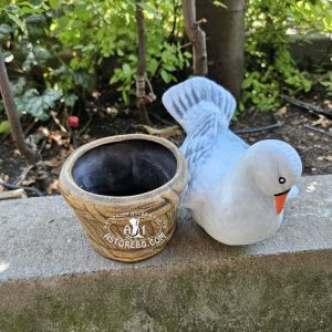 ГЪЛЪБ-САКСИЯ-Н-49-1