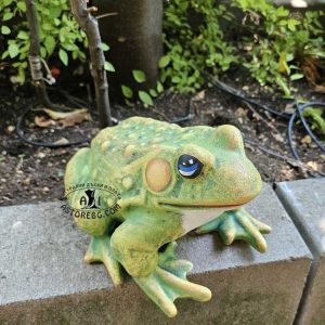 ЖАБА-СРЕДНА-Н-195